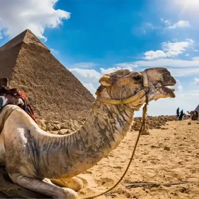 Cairo